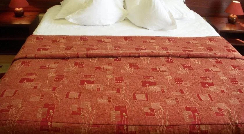 Hotel Decebal
