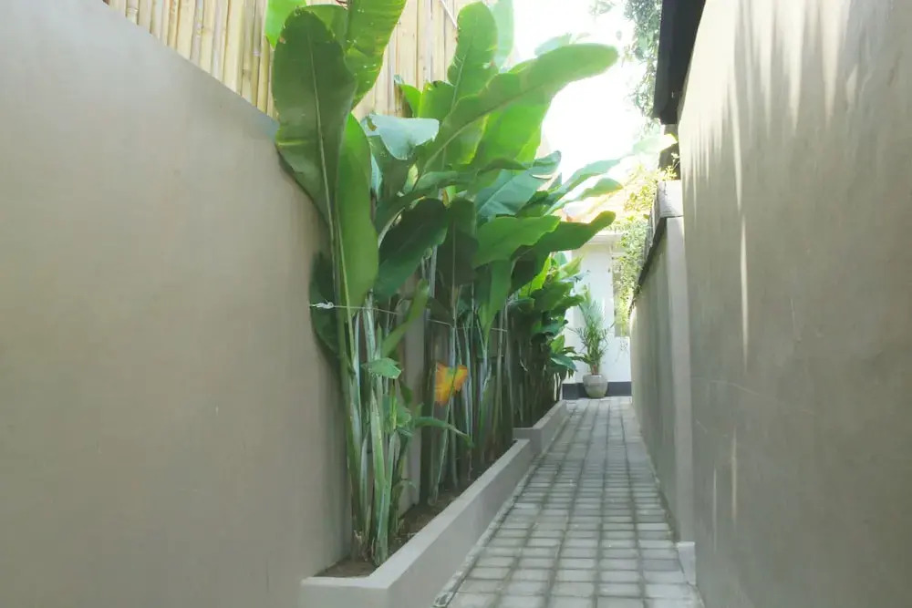 Rusty Seminyak