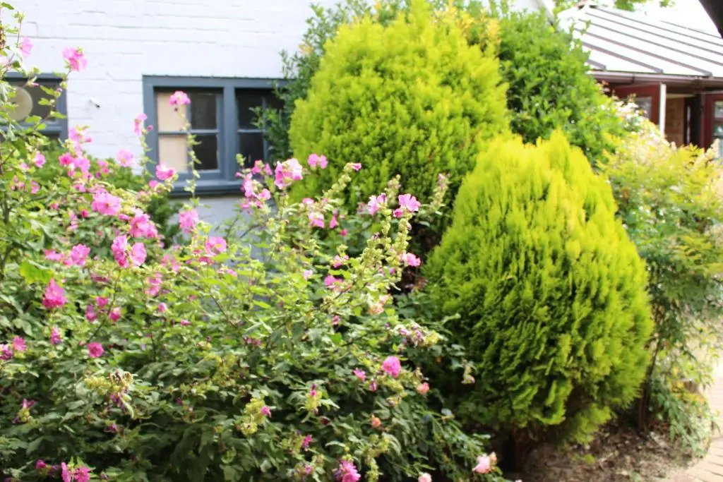 The Meadow Lark - A Heartwood Inn
