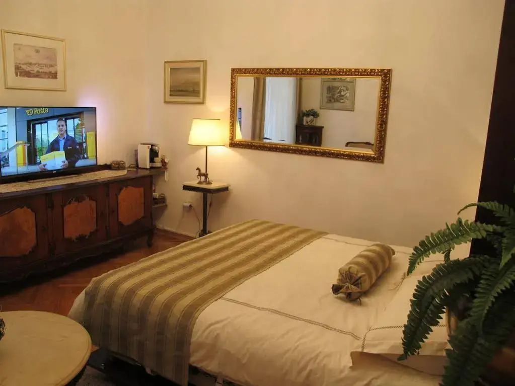 Central Palace Apartment