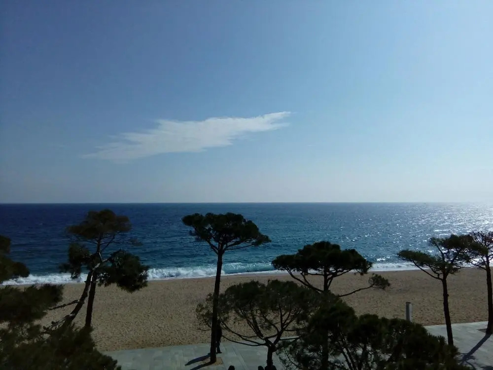 Apartamentos Delfin-Aromar-4
