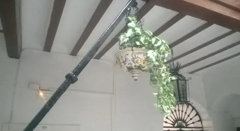 Hospedaje San Luis