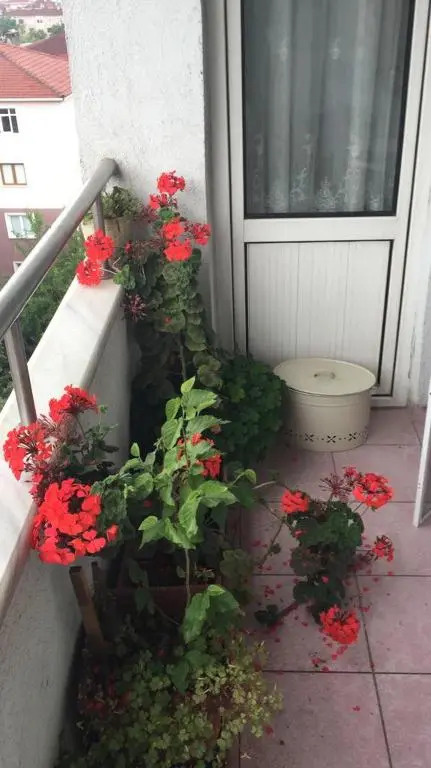 Single Room, одноместная комната в доме, chambre d'une personne, Habitación individual