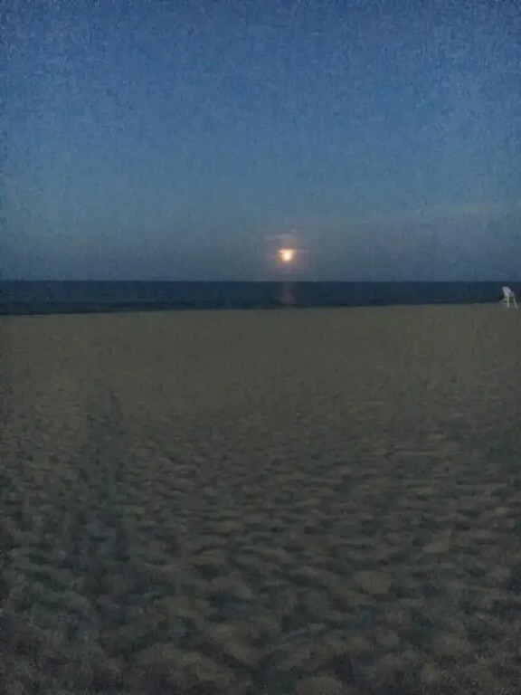 South Boardwalk 507