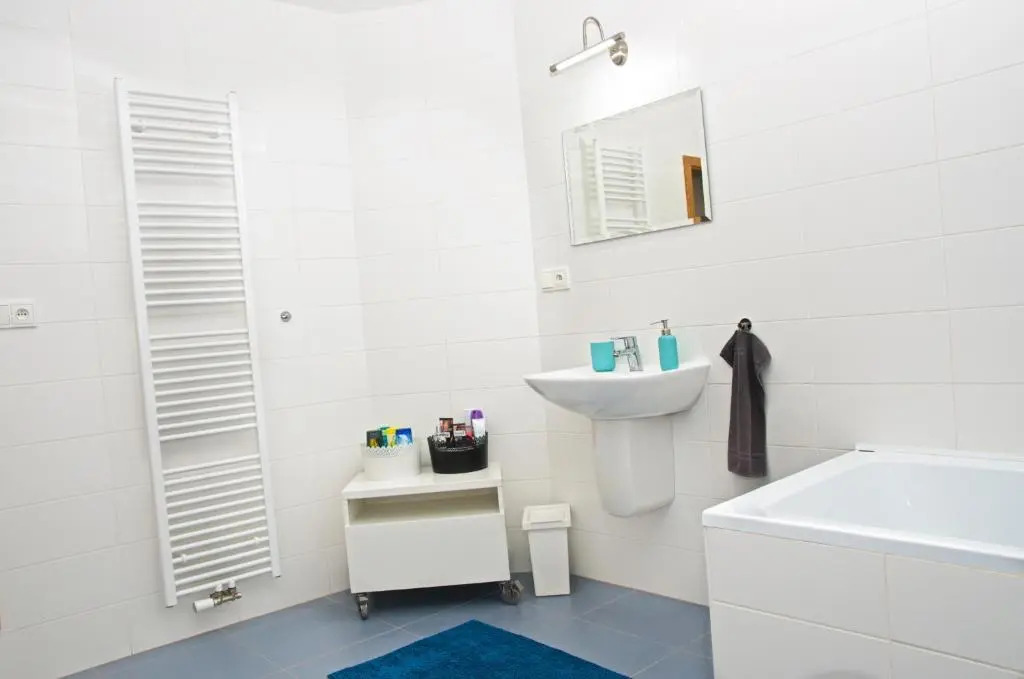 Apartment Husova