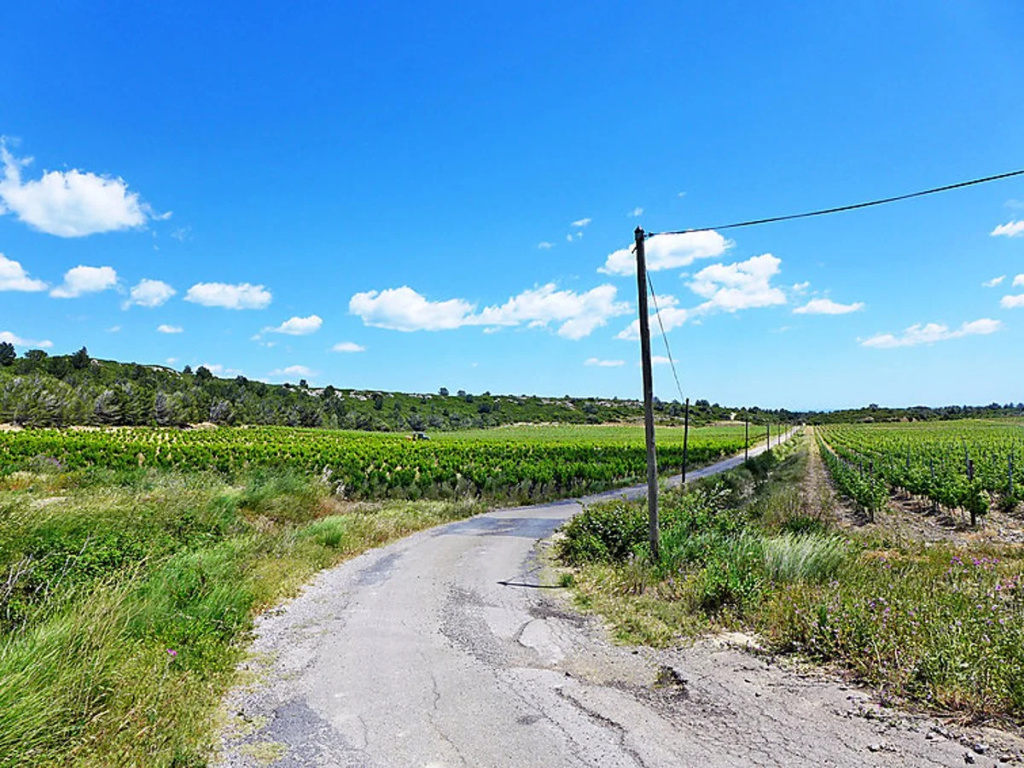 Les Vendanges