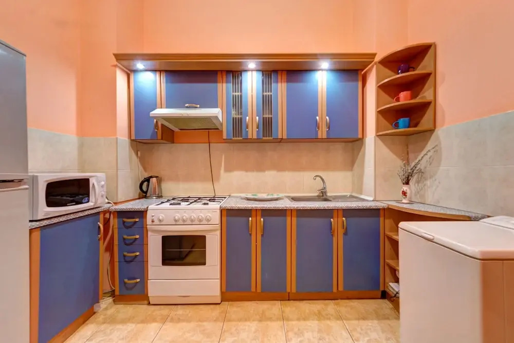 Elegant Apartment on Saksagans'kogo street