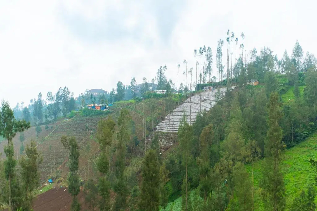 OYO 2169  Anugrah Bromo Homestay