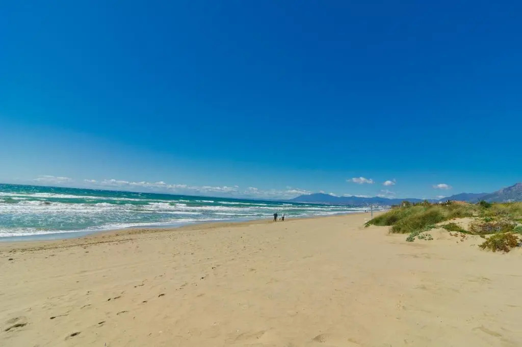 Villa Las Chapas Playa