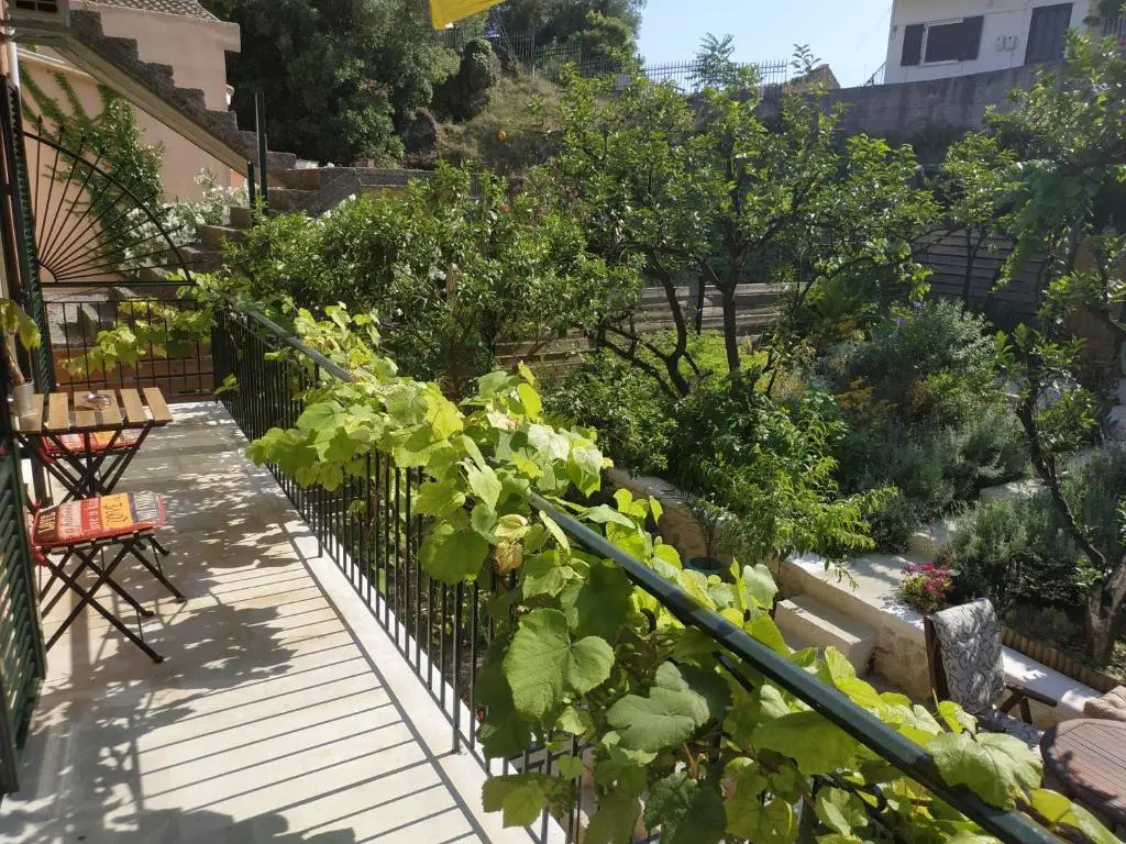Corfu Pelekas Apartment 2