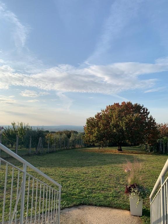 La terrazza sul ciliegio
