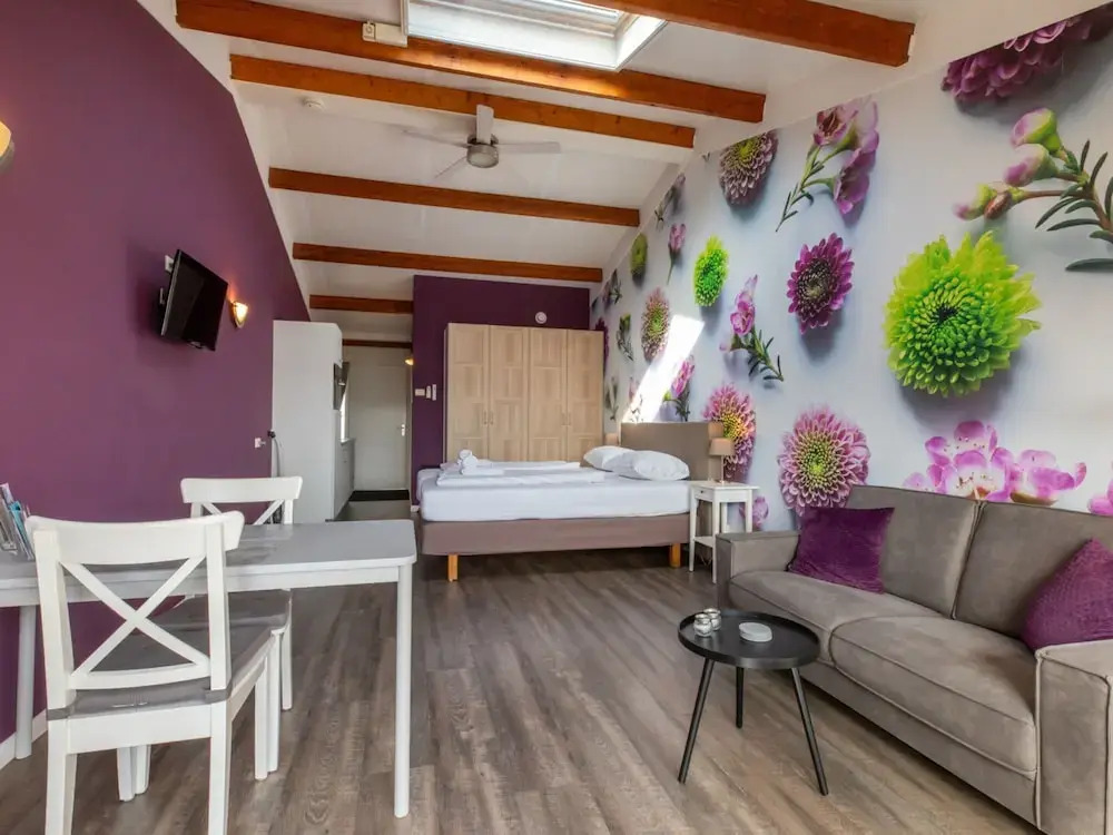 Stylish Zeeland Stay BBQ