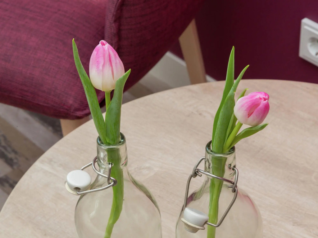 Serene Holiday Home in Oostkapelle near Center & Forest