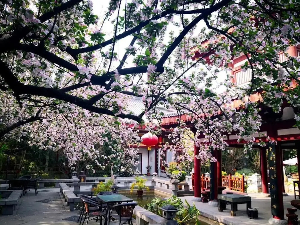 Tang Dynasty Art Garden Hotel