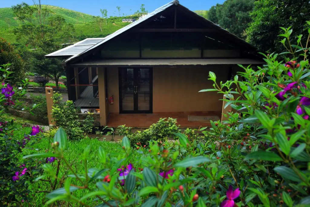 Tea Terrain Resorts & Spa