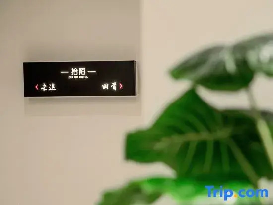 Shimo • Homestay (Huangshan Scenic Area South Gate Transfer Center Terminal)