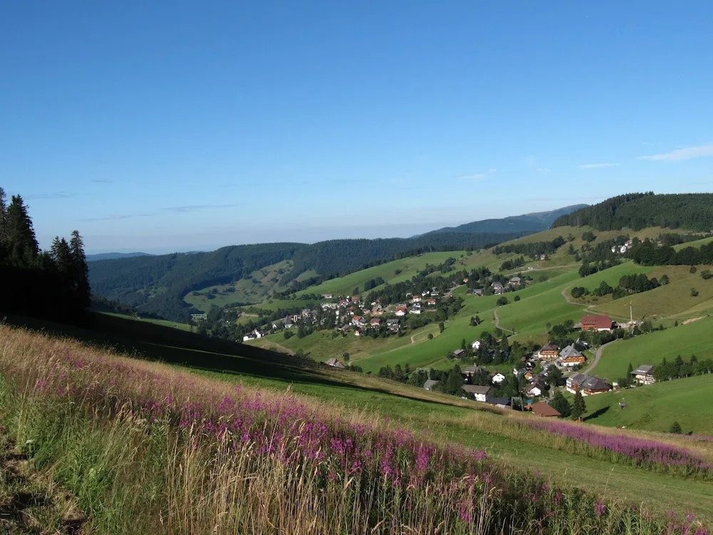 Luxurious Apartment in Todtnauberg With Terrace
