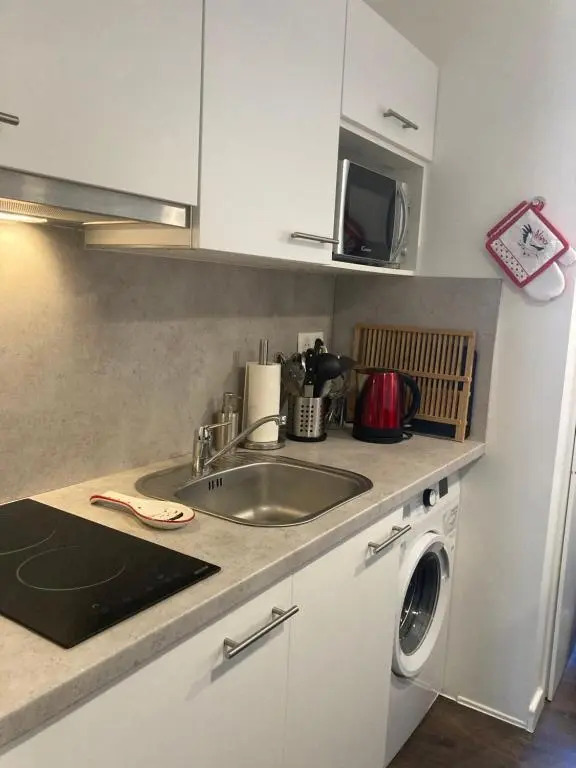 * Le Garden * Studio * Centre-ville Mulhouse