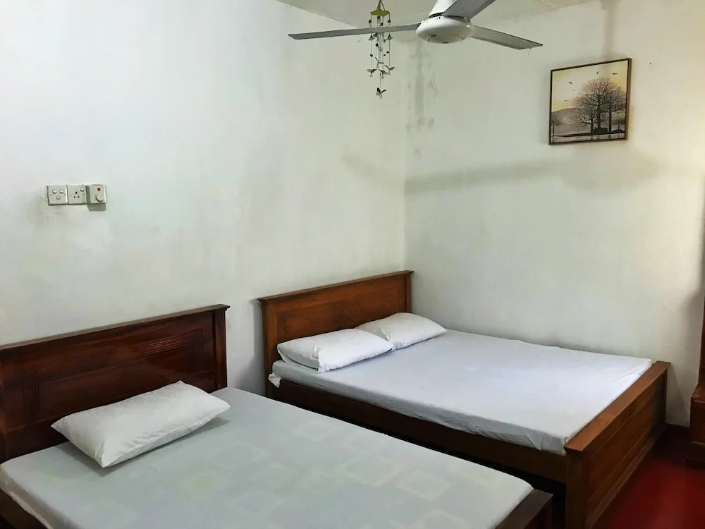 Mango Tree House