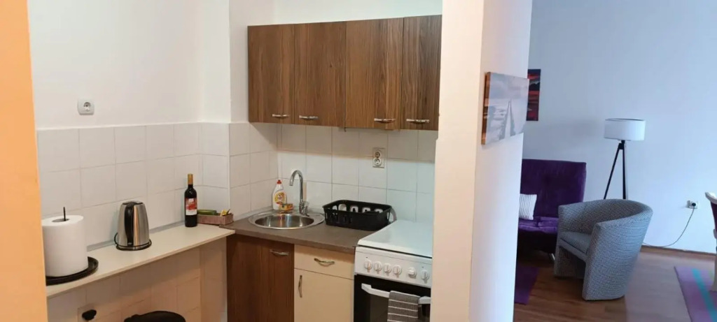 Splendid Two Bedroom Apartment Anastas Mitrev 25