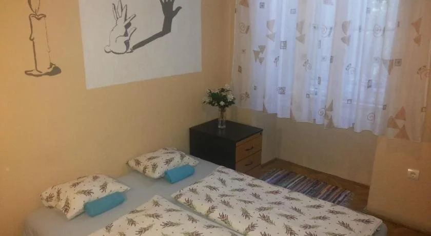 White Rabbit Hostel