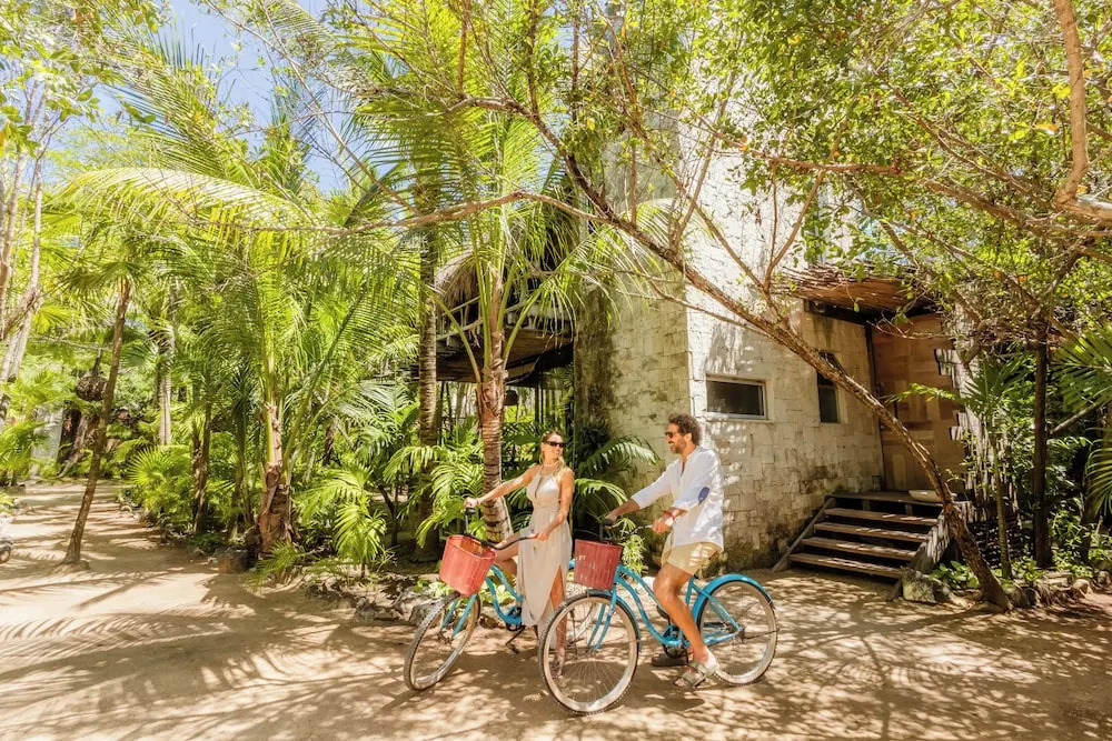 Vida Silvestre Tulum