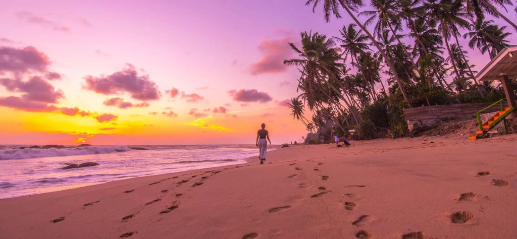Dream Beach Resort