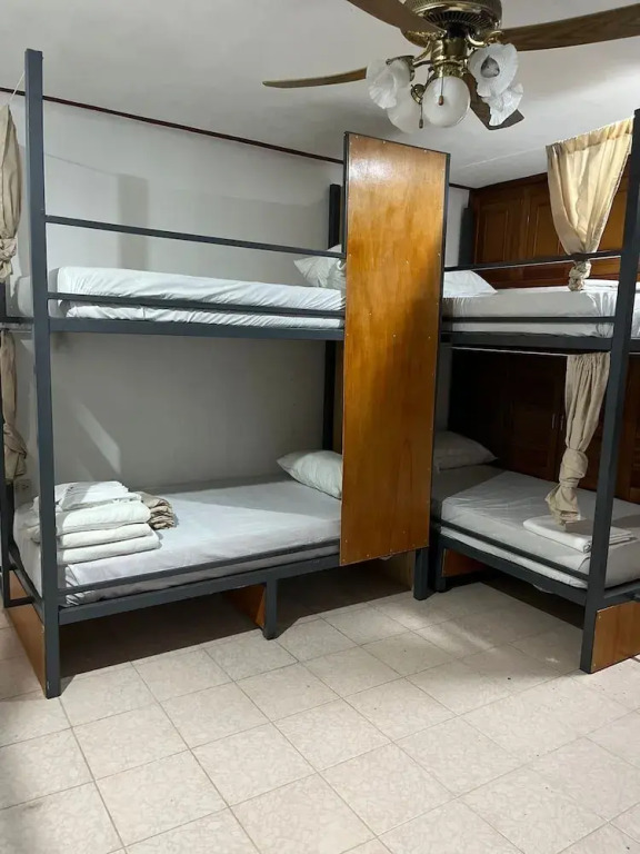 Hostel Treebu