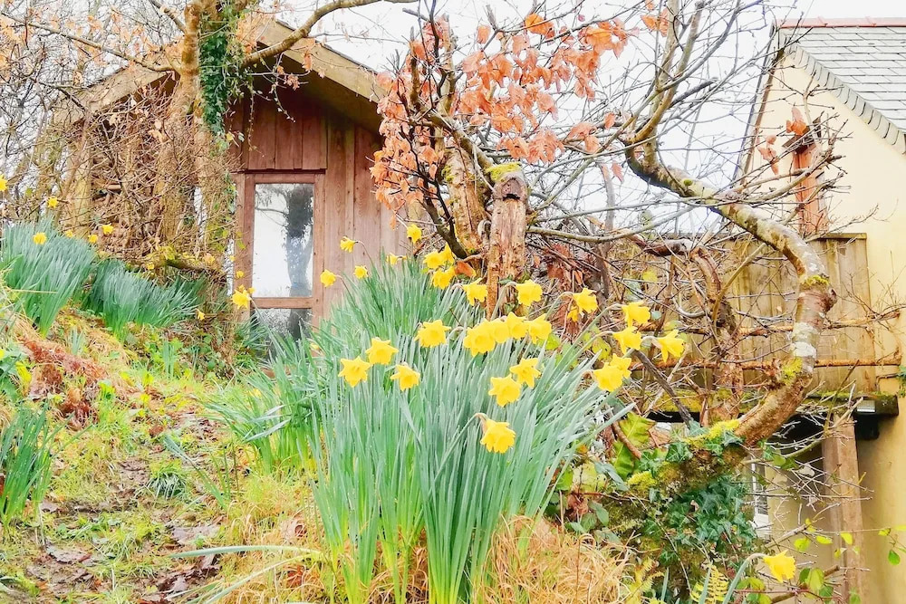 Writing Shed Wales