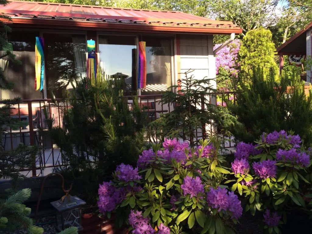Black Bear Inn