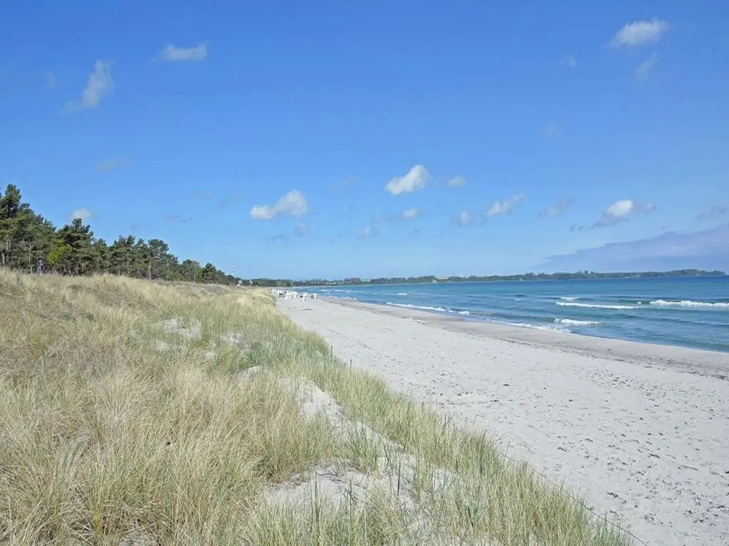 Ferienwohnung Badestrand