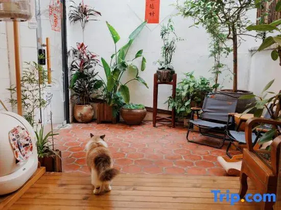Liwu Homestay (Quanzhou Ancient City West Street)