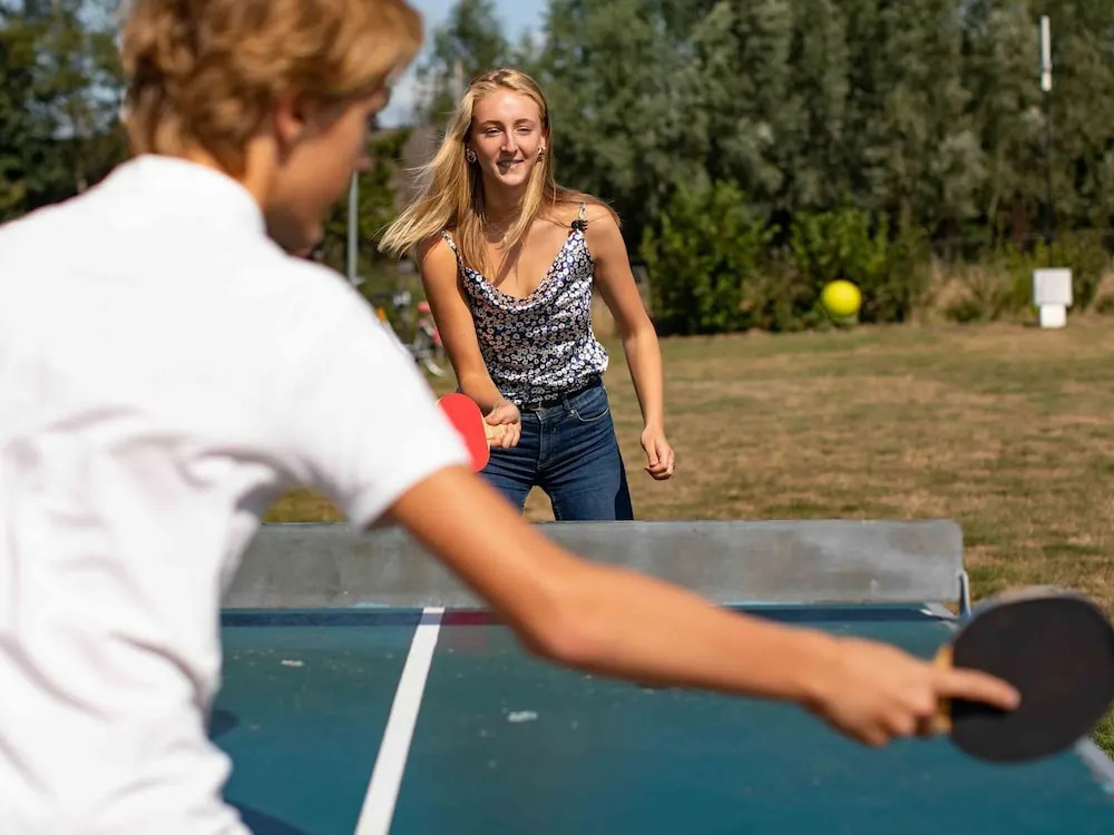 Chalet on a Holiday Park in the Achterhoek