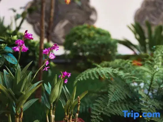 Tengchong Ruyijia Hot Spring B&B (Xidong Emerald Courtyard Branch)