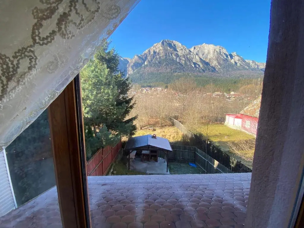 B House Bușteni