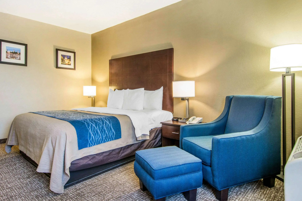 Comfort Inn Atlanta Downtown South