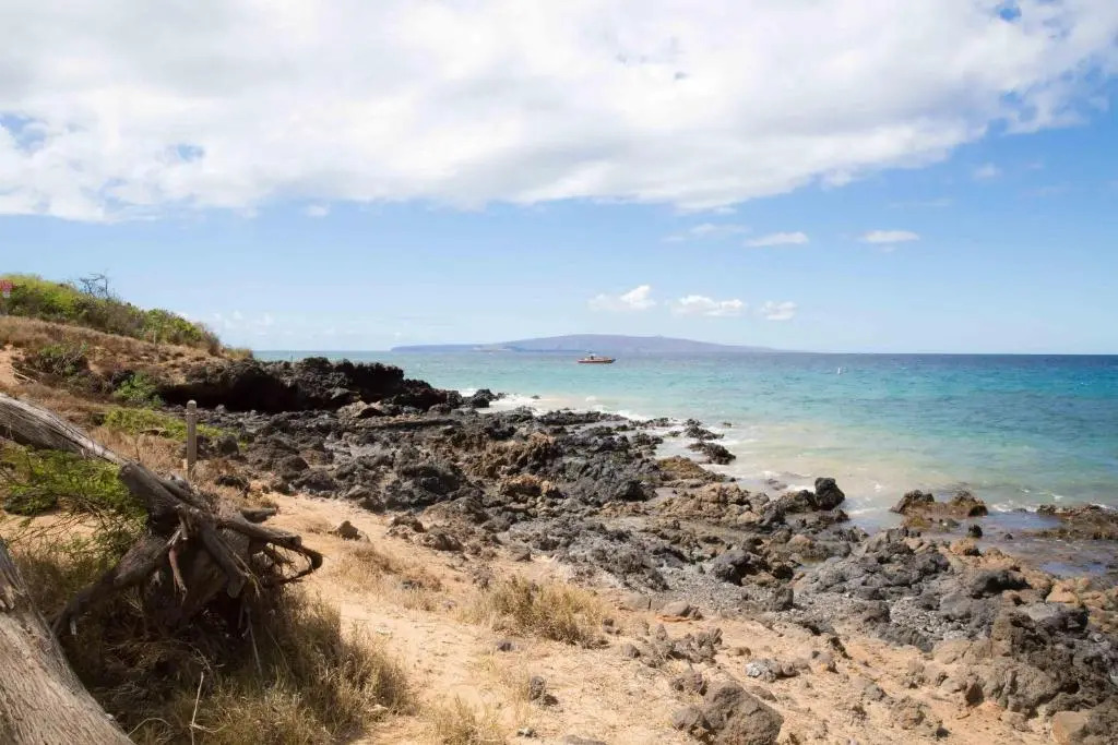 Hale Kamaole 142