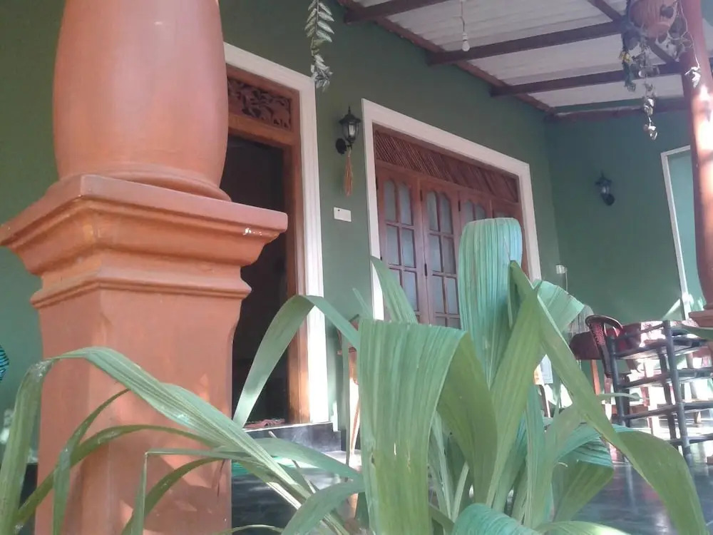 Green Bamboo House