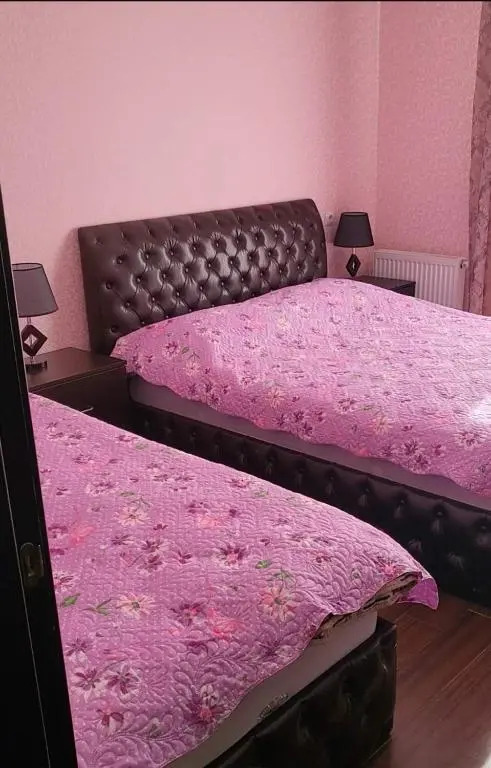 Apartment near didveli
