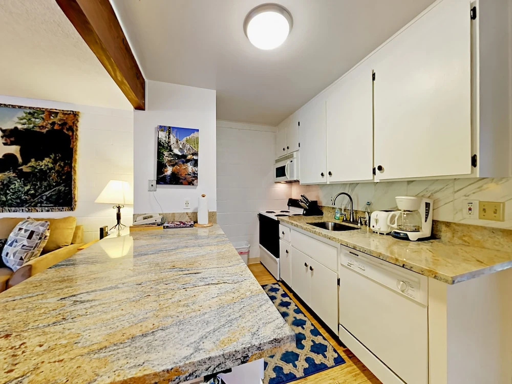 1410 Ski Run Blvd Condo Unit 3