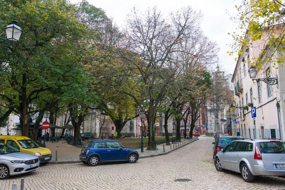 The Mulberry Tree Lisbon Hostel