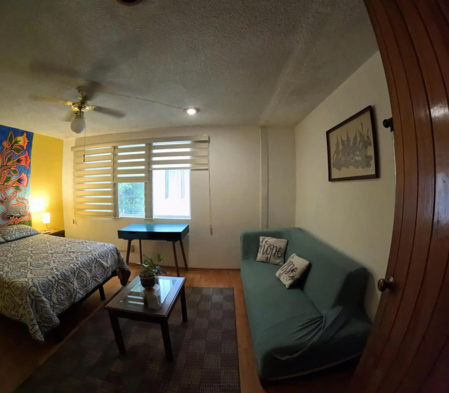 Neighbor of Frida Khalo, vintage stay in Coyoacán