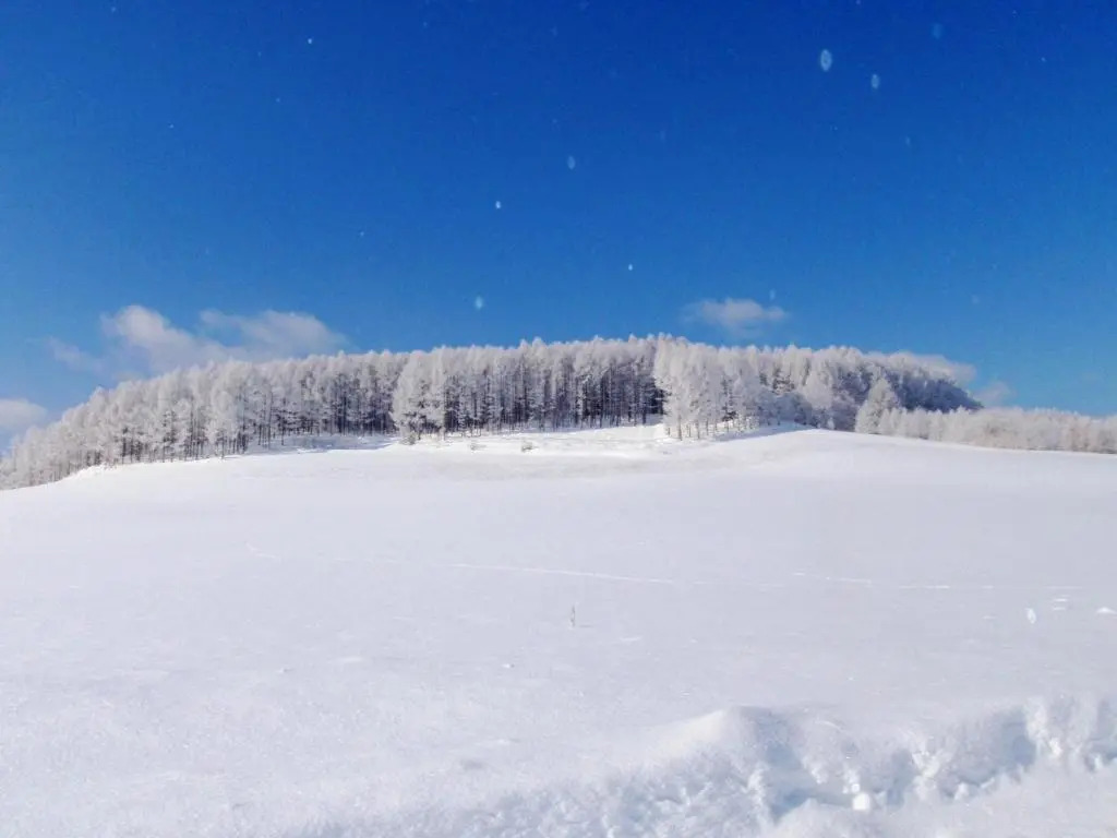Furano - Hotel / Vacation STAY 35850