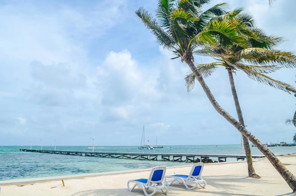 Blue Tang Inn - Beachfront Suites and Pool