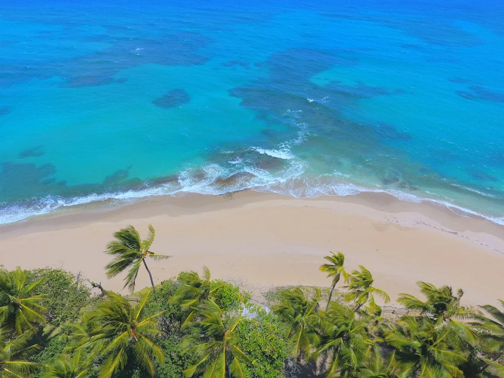 Sea Horse Ranch Villas by Caribe Stays