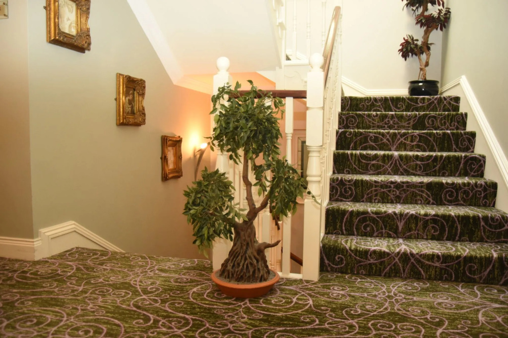 The Fairview Boutique Hotel