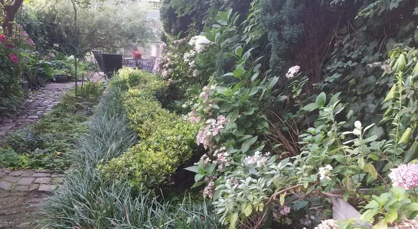 Garden Suite