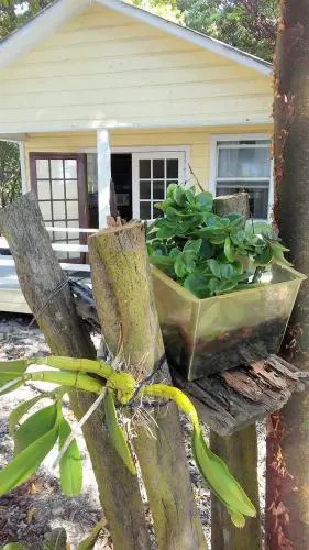 Sandy Beach Bungalow