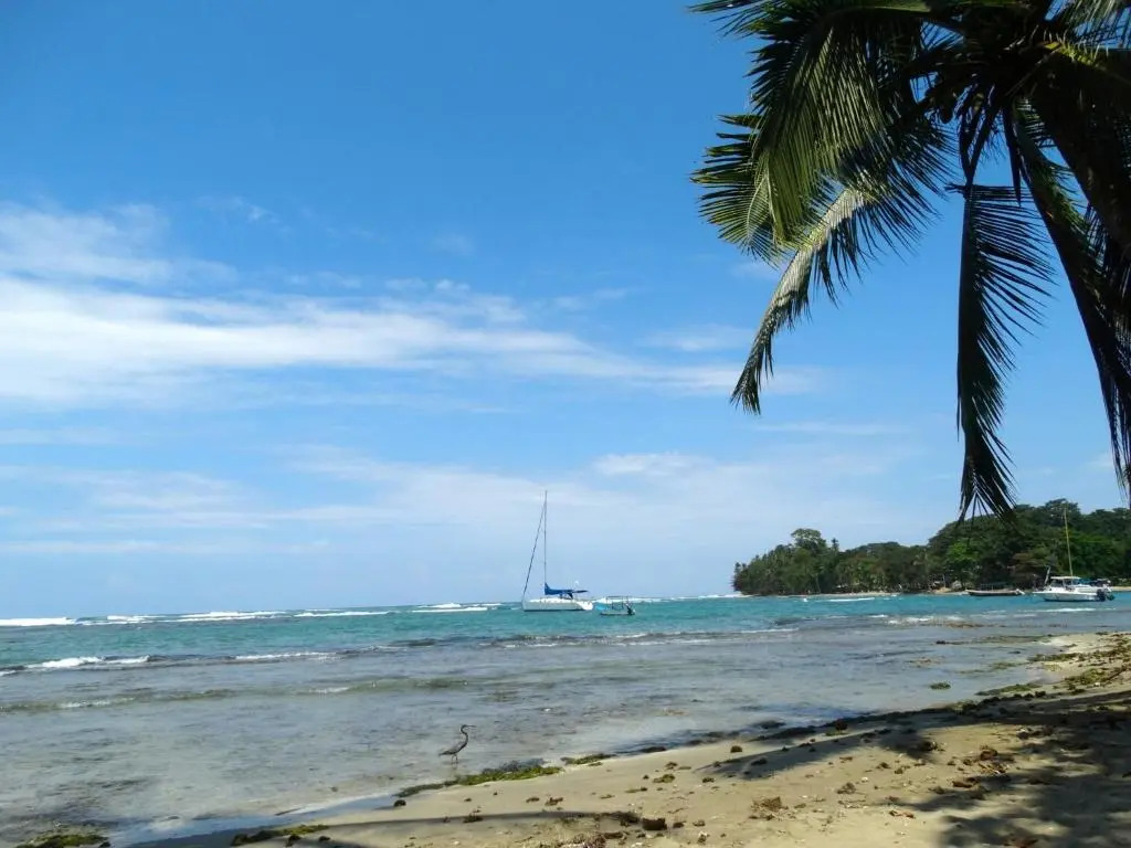 Caribbean Secret