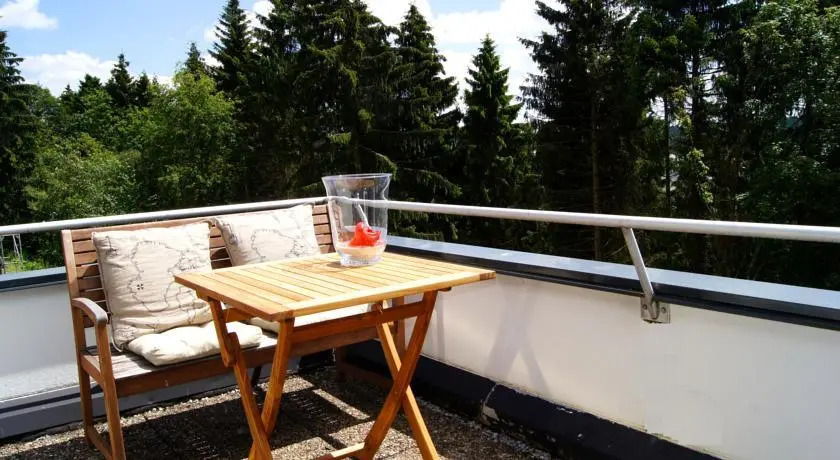Winterberg Appartement 21048